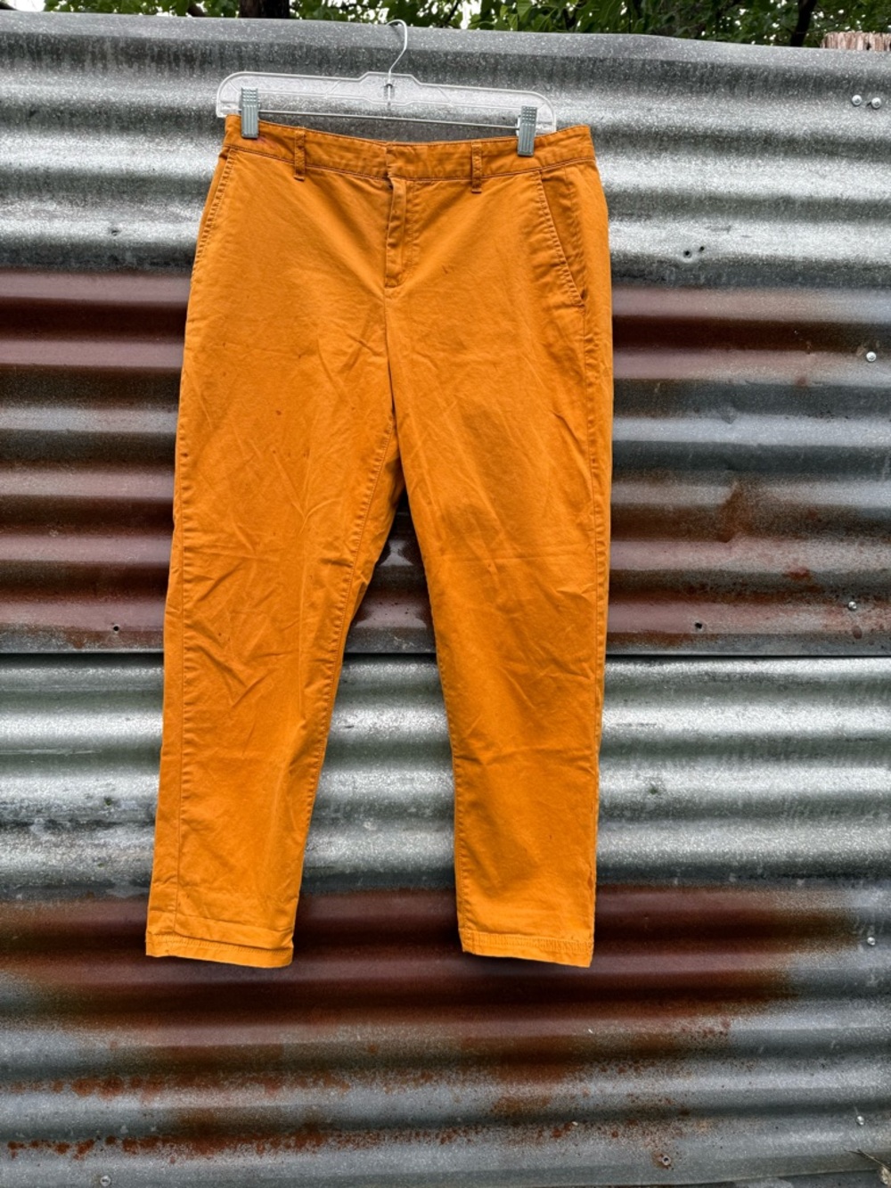 Banana Republic Women’s Chino